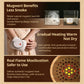 Breo A2 Moxibustion Box Portable Moxibustion Device for HomeUse