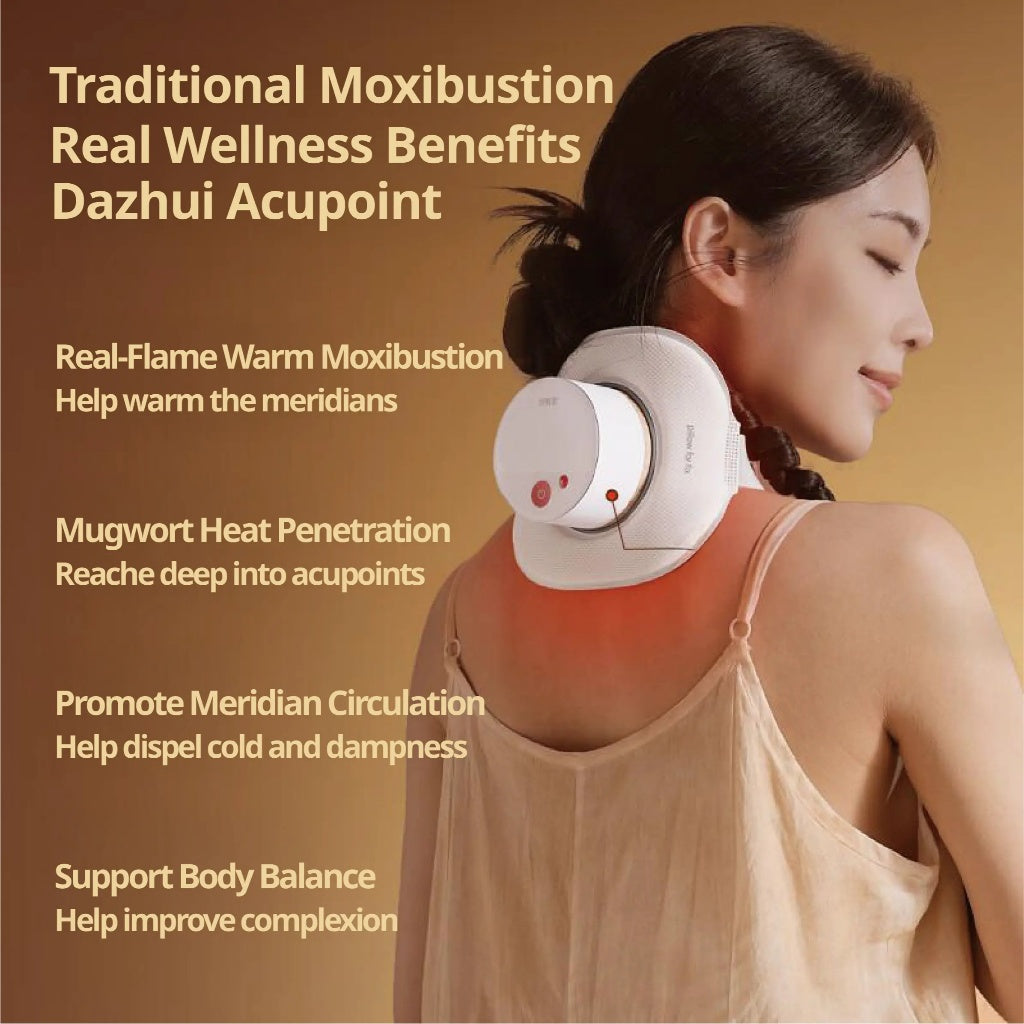 Breo A2 Moxibustion Box Portable Moxibustion Device for HomeUse