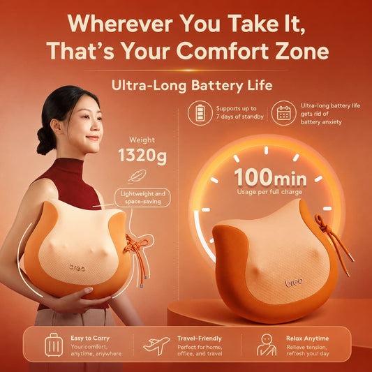 Breo Back 2F Premium Back Massage Pillow